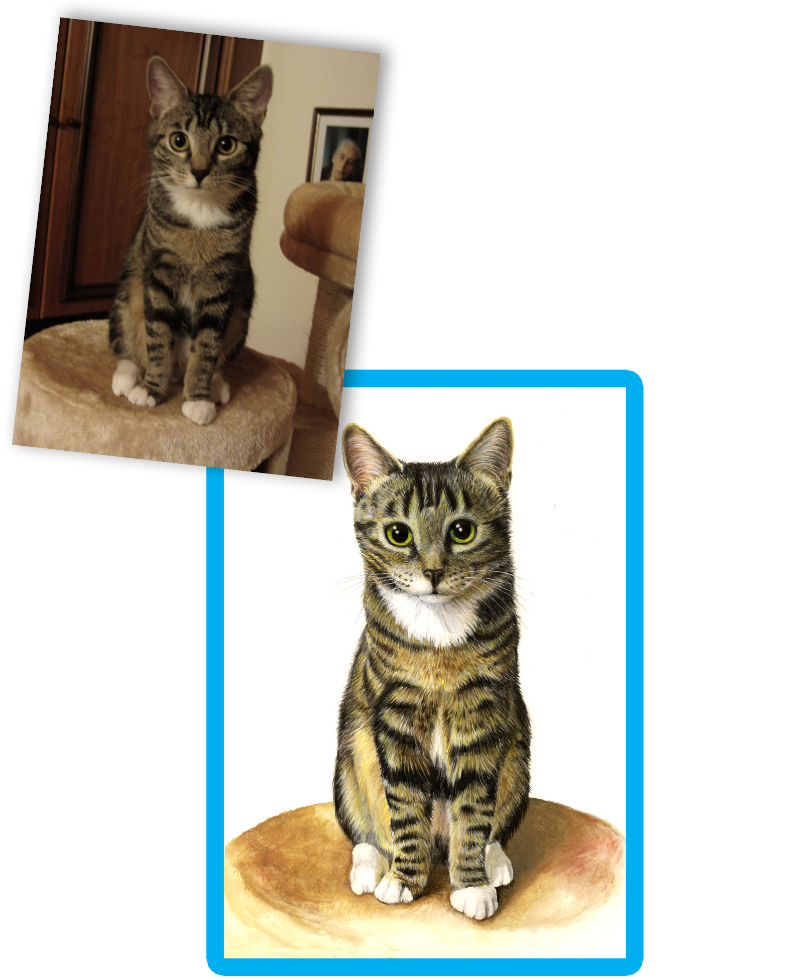 Vergleich gemaltes Tierportraits und Vorlagenfoto