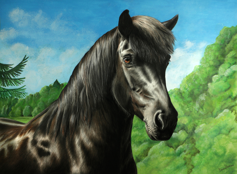 Islandpferd Farbstiftzeichnung