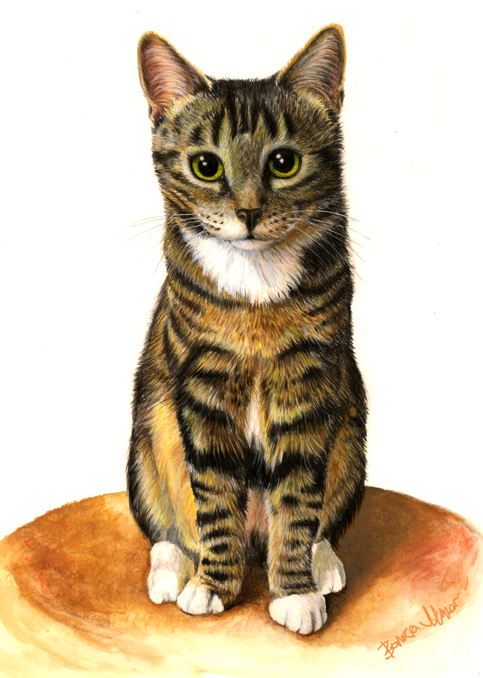 Katze Farbstiftzeichnung