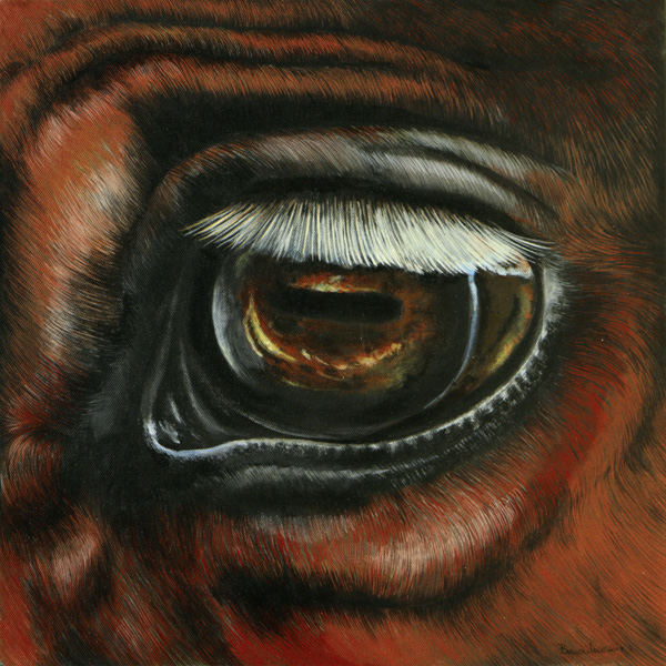 Detaildarstellung Pferdeauge Acryl Acrylgemälde Pferdegemälde Pferdeportrait Fineart Horses